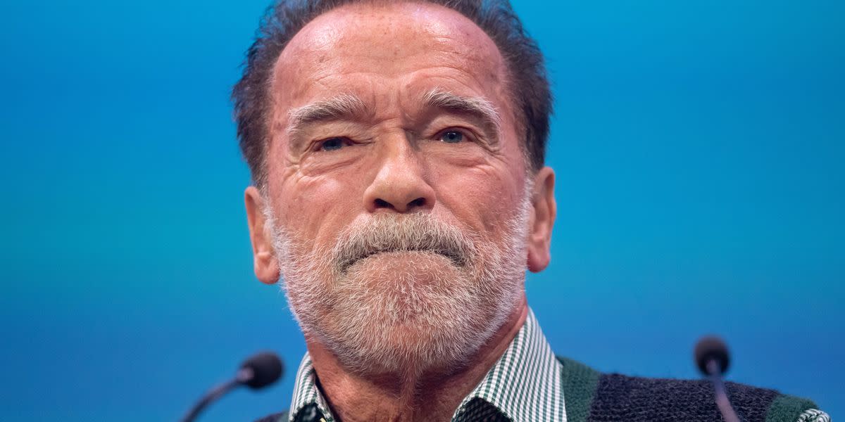 Arnold Schwarzenegger Signed Auschwitz Guestbook With 'Terminator' Line, Museum ..