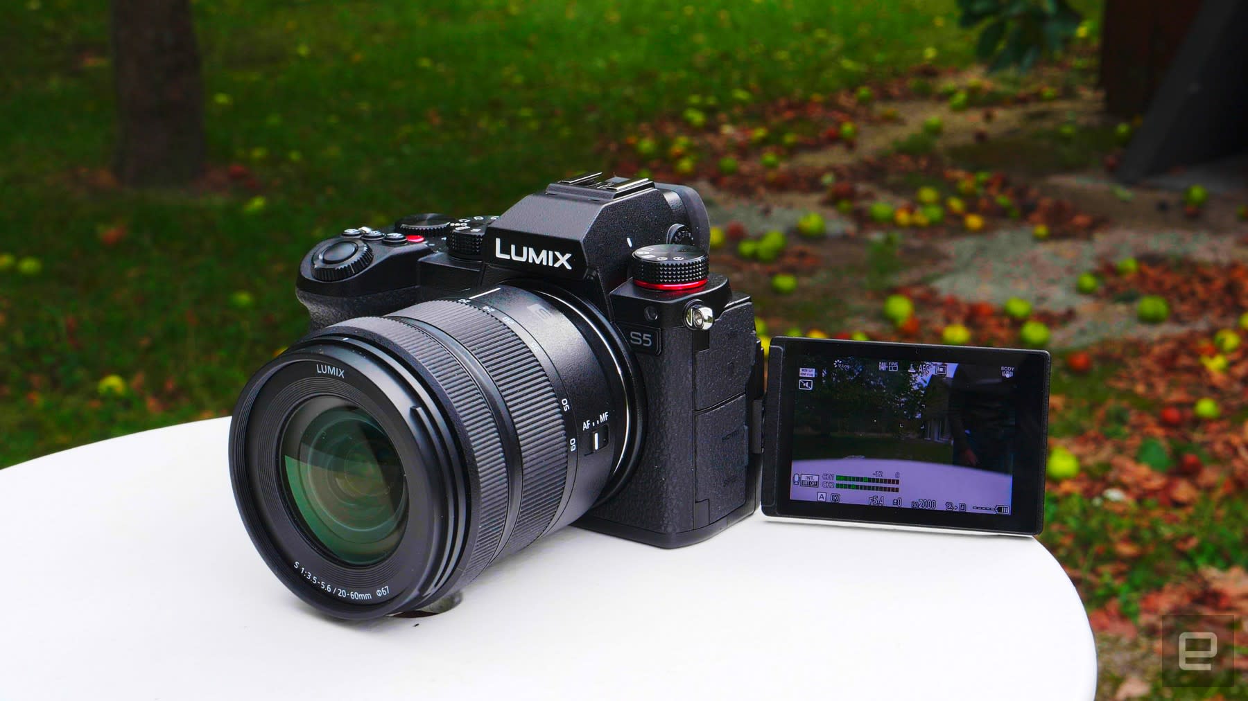 Panasonic S5 review: Incredible video in a package | Engadget