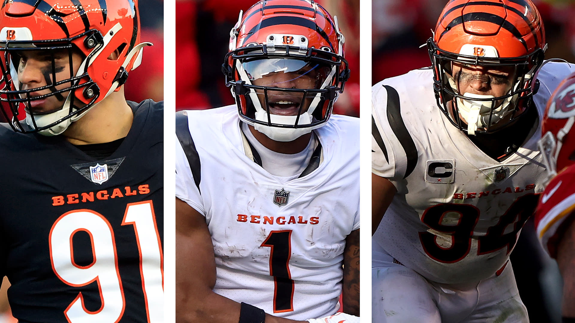 Bungle' this: Old Bengals are proud of their history  most of it, anyway