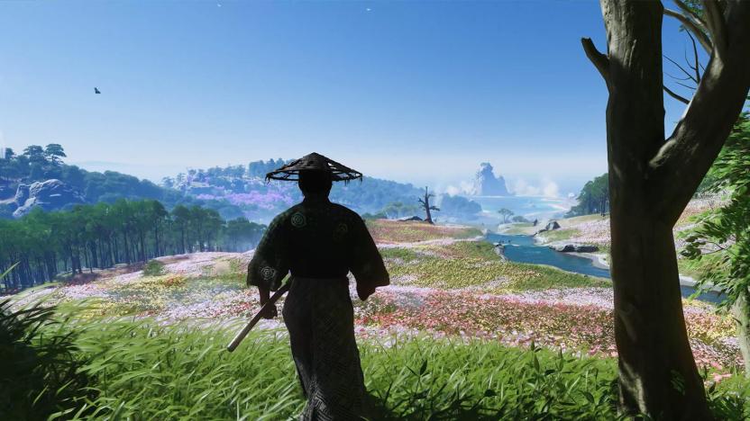 A figure wearing a straw hat is shown from behind as they gaze out at a colorful landscape of flowers, trees and mountains.