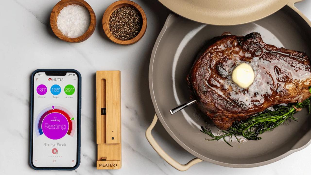 Smart Gear Wireless Meat Thermometer