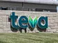 Teva touts safety profile of once monthly schizophrenia therapy