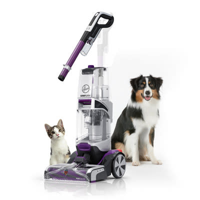 40 HQ Photos Pet Friendly Carpet Cleaner - The Best Pet Carpet Cleaner | Your Dog Advisor