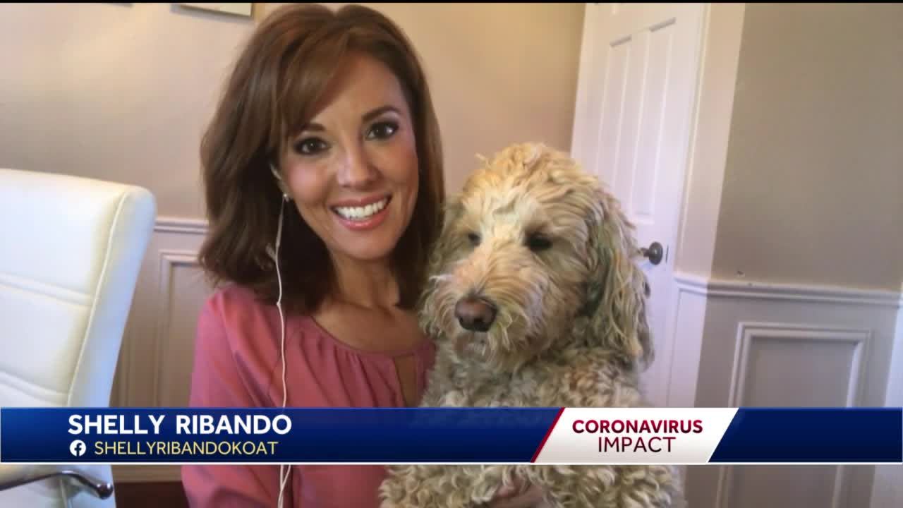 Can our pets get coronavirus? [Video]