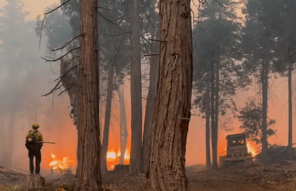 Oak Fire brûle 18 000 acres en Californie