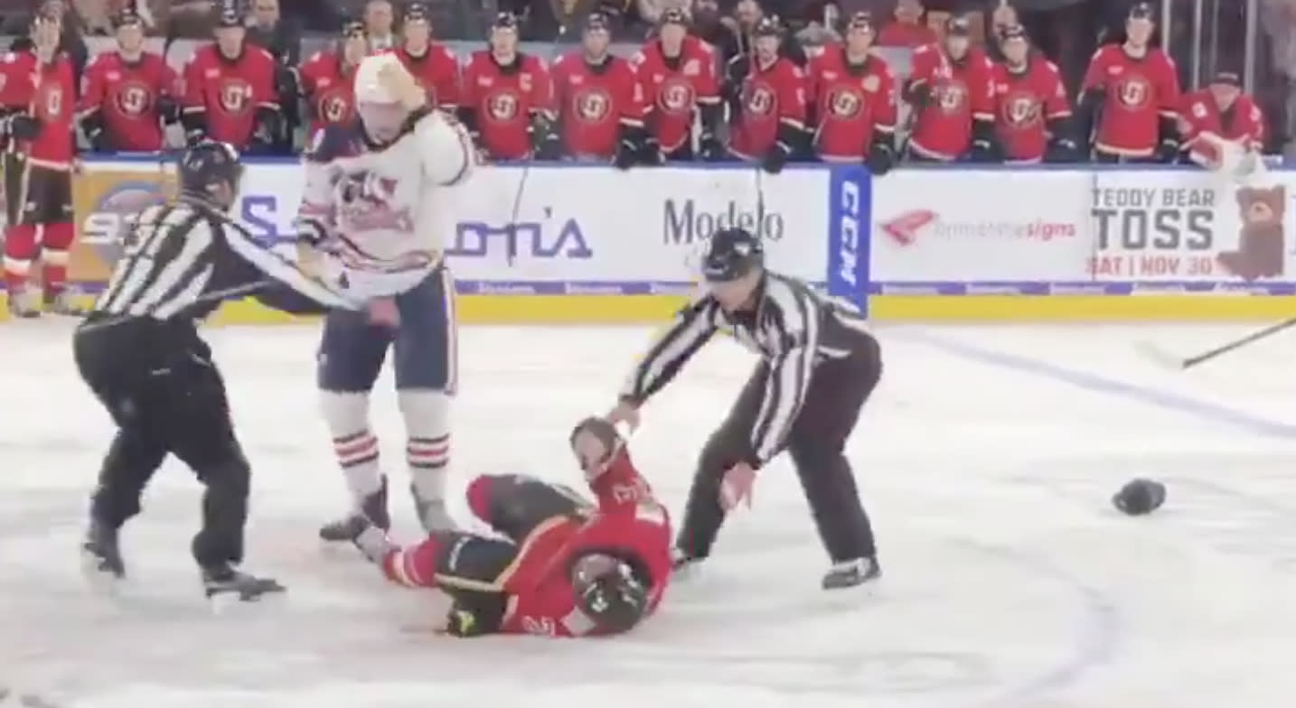 Martin Pospisil after knockout in AHL fight