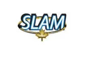 Slam Closes Acquisition of Mine Road Project