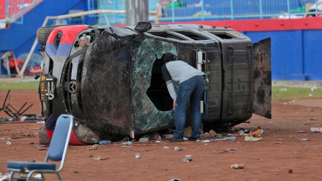 Soccer tragedy, hurricane aftermath, World Animal Day: World in Photos, Oct. 3