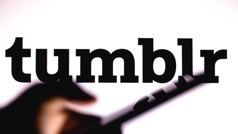 BRAZIL - 2021/01/12: In this photo illustration the Tumblr logo seen in the background of a silhouette hand holding a mobile phone. (Photo Illustration by Rafael Henrique/SOPA Images/LightRocket via Getty Images)