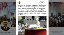 Uccelli a Roma, il Nyt attacca, ma il consigliere fa una gaffe