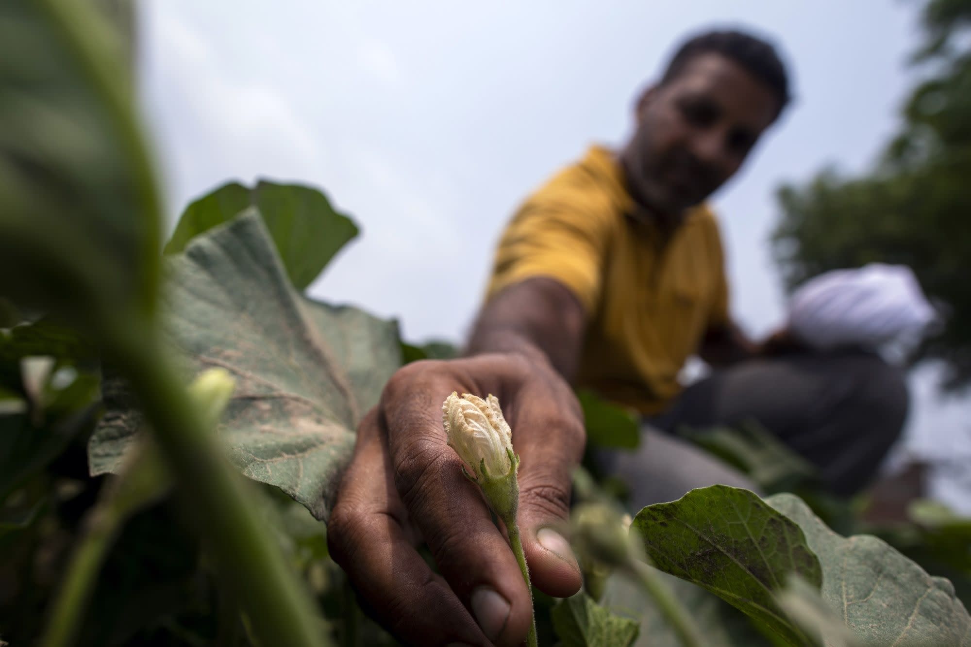 India's Water Crisis Is Becoming a Problem for Modi - Yahoo Finance UK