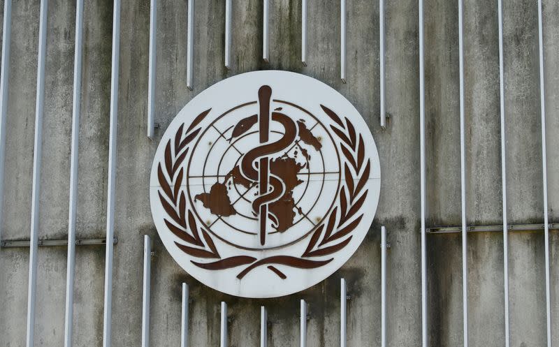 Fungal infection list launched by WHO flags global health threat - Yahoo News