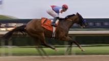 Preakness Stakes 2024 preview: Muth