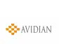 Avidian Completes Purchase of Its Flagship Golden Zone Property in Alaska