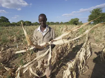 From ancient fertilizer methods in Zimbabwe to new greenhouse technology in Somalia, farmers across the heavily agriculture-reliant African continent are looking to the past and future to respond to climate change.  Africa, with the world's youngest population, faces the worst effects of a warming planet while contributing the least to the problem.