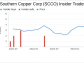 Insider Sale at Southern Copper Corp (SCCO): Director Luis Miguel Palomino Bonilla Sells Shares