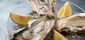 
How risky is it to eat raw oysters? Here's how you can safely consume them.