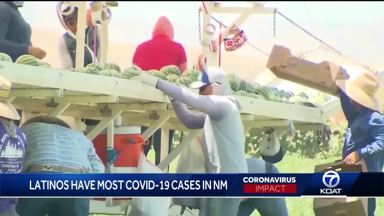 Latinos in NM  seeing highest COVID  19  cases  Video 