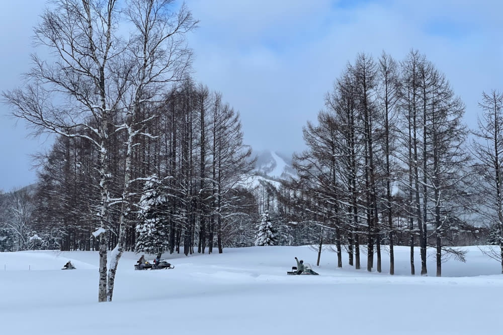 【有影】北海道追雪之旅／解鎖星野TOMAMU 零下七度的白色世界 - Yahoo奇摩汽車機車