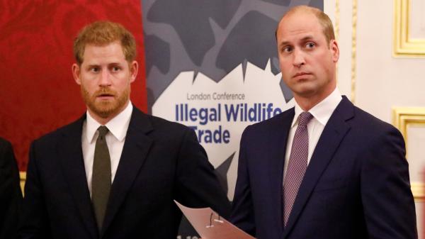 Prince William says the royals are 'not a racist family' in first remarks since Oprah interview