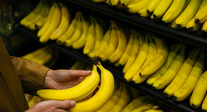 香蕉有助於減肥 日本醫師認可