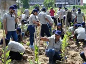 Otis India Volunteers Create Urban Forests of Native Trees and Plants