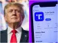 Here's how users on Truth Social are feeling about Trump Media's steep stock decline