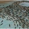 Giappone, furore su pista pattinaggio che ha congelato 5.000 pesci