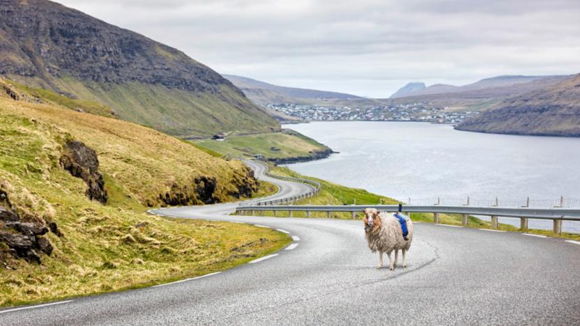 Visit the Faroe Islands