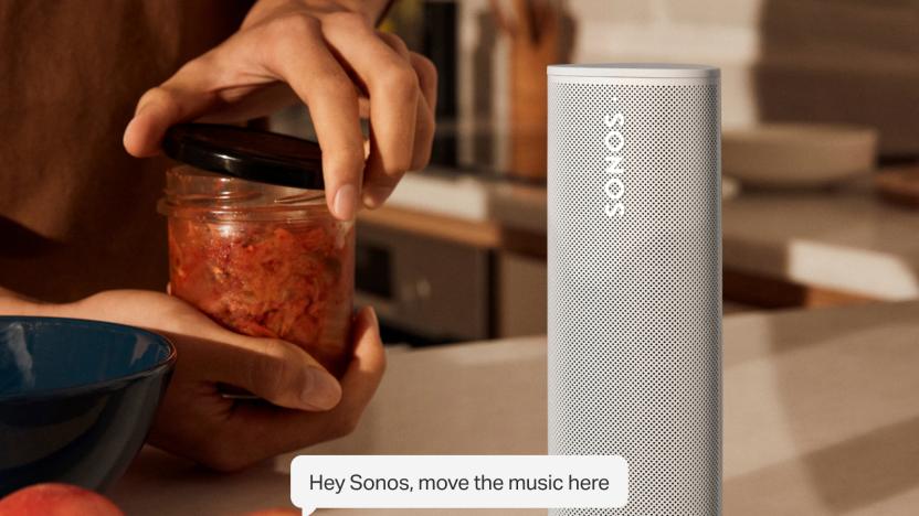 Sonos Voice Control 