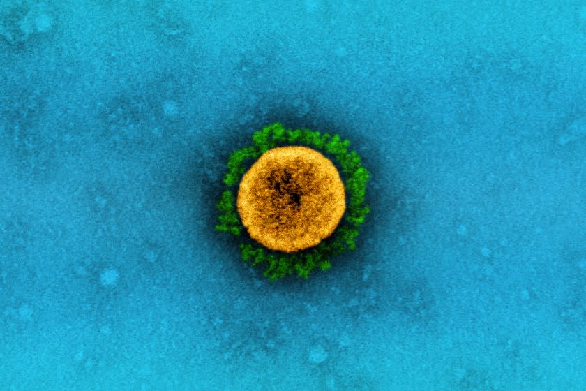 Coronavirus infection leads to immunity comparable to the COVID-19 vaccine