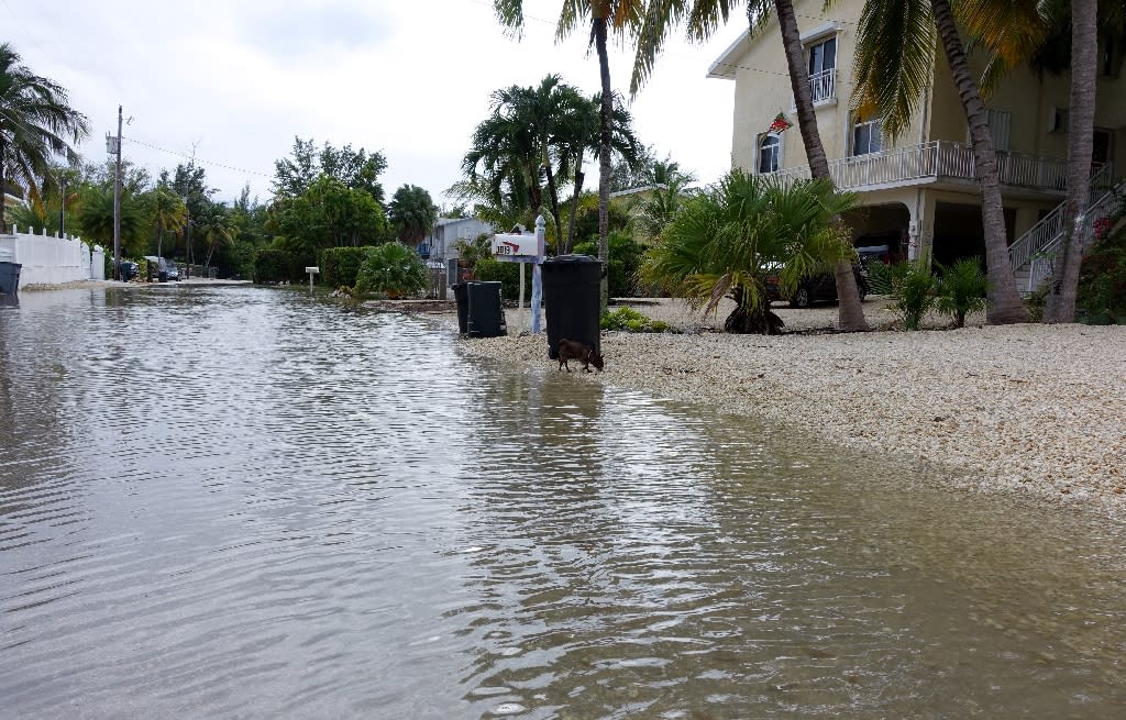 As Florida Keys flood, property worries seep in