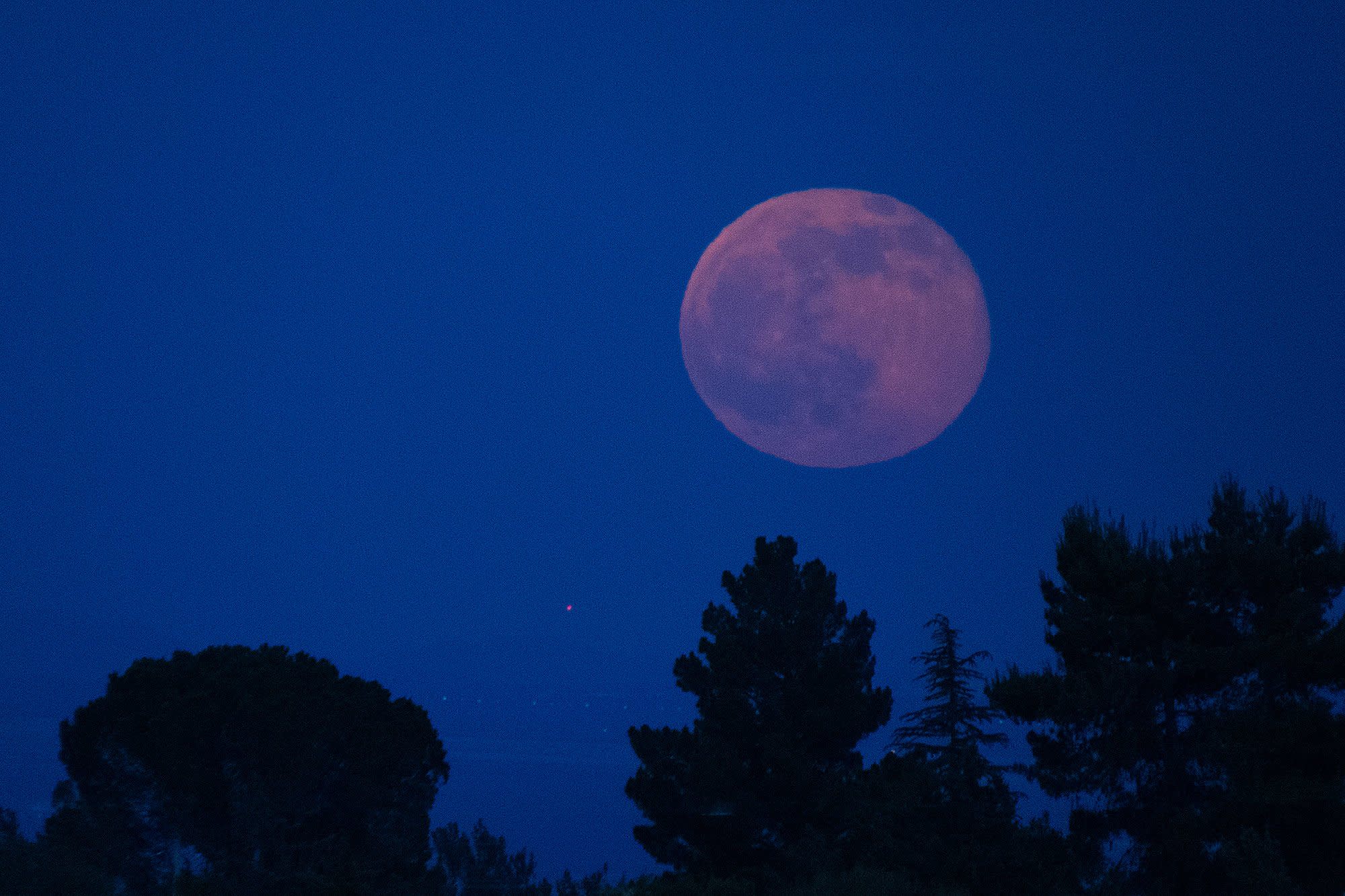 There Will Be a Full Strawberry Moon Visible Tonight — But What Is It?