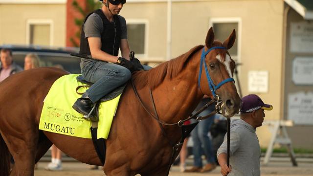 Preakness Stakes 2024 preview: Mugatu