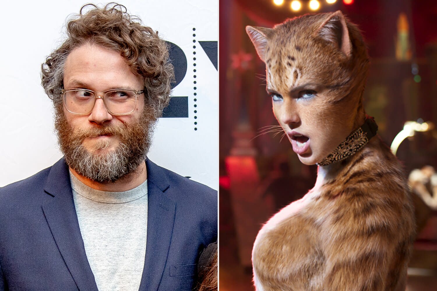 Seth Rogen Watched Cats While 'Pretty Stoned' and His ...