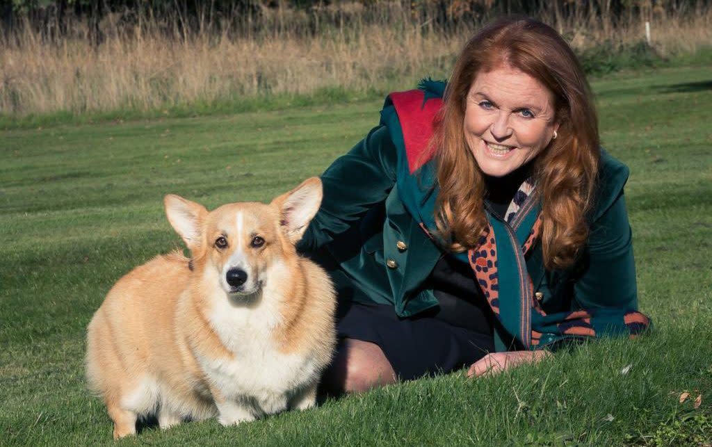 La duchesse d’York pose avec les corgis de la reine Elizabeth II