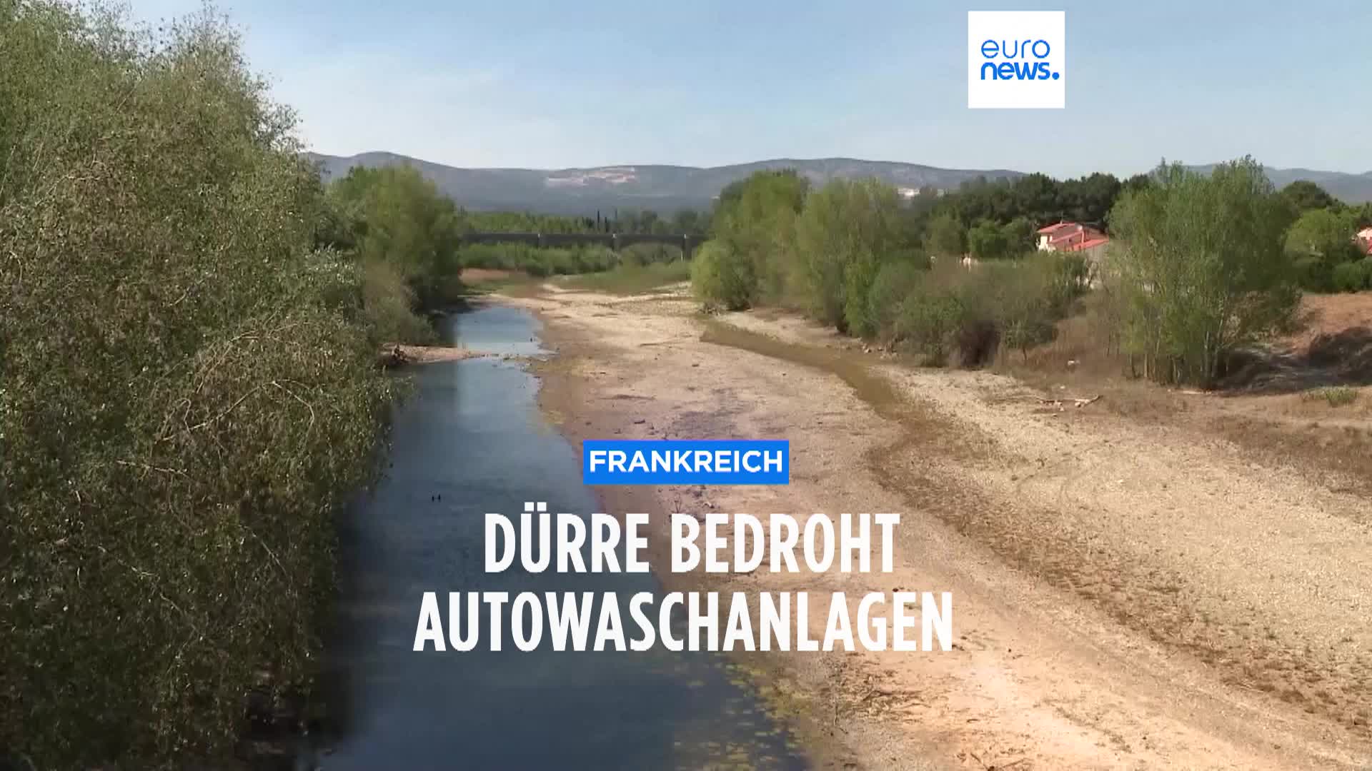 Darum ist Ihr Auto gerade so klebrig - was sie gegen Honigtau tun