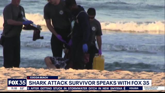 Shark Kills Swimmer In Sydney S First Fatal Attack In Decades