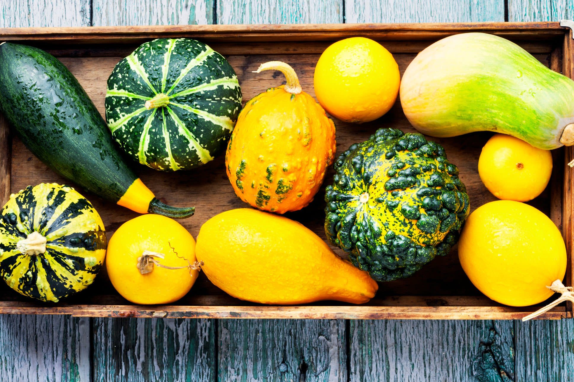 14 Types of Squash Your Guide to Winter and Summer Squashes