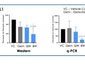 QLGN: Dosing Begins in Phase 1 Trial of QN-302…