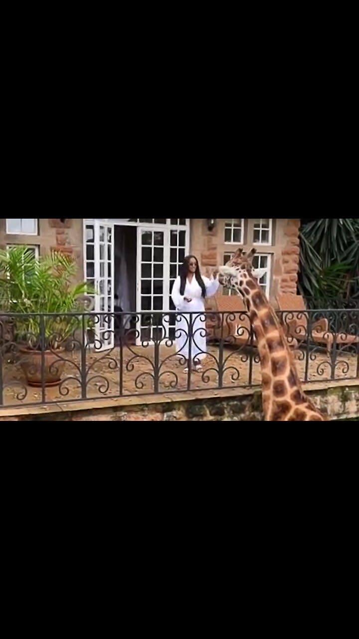 Protecting Vachetta Leather & Giraffe Manor Featured in Harper's Bazaar –  Between Naps on the Porch