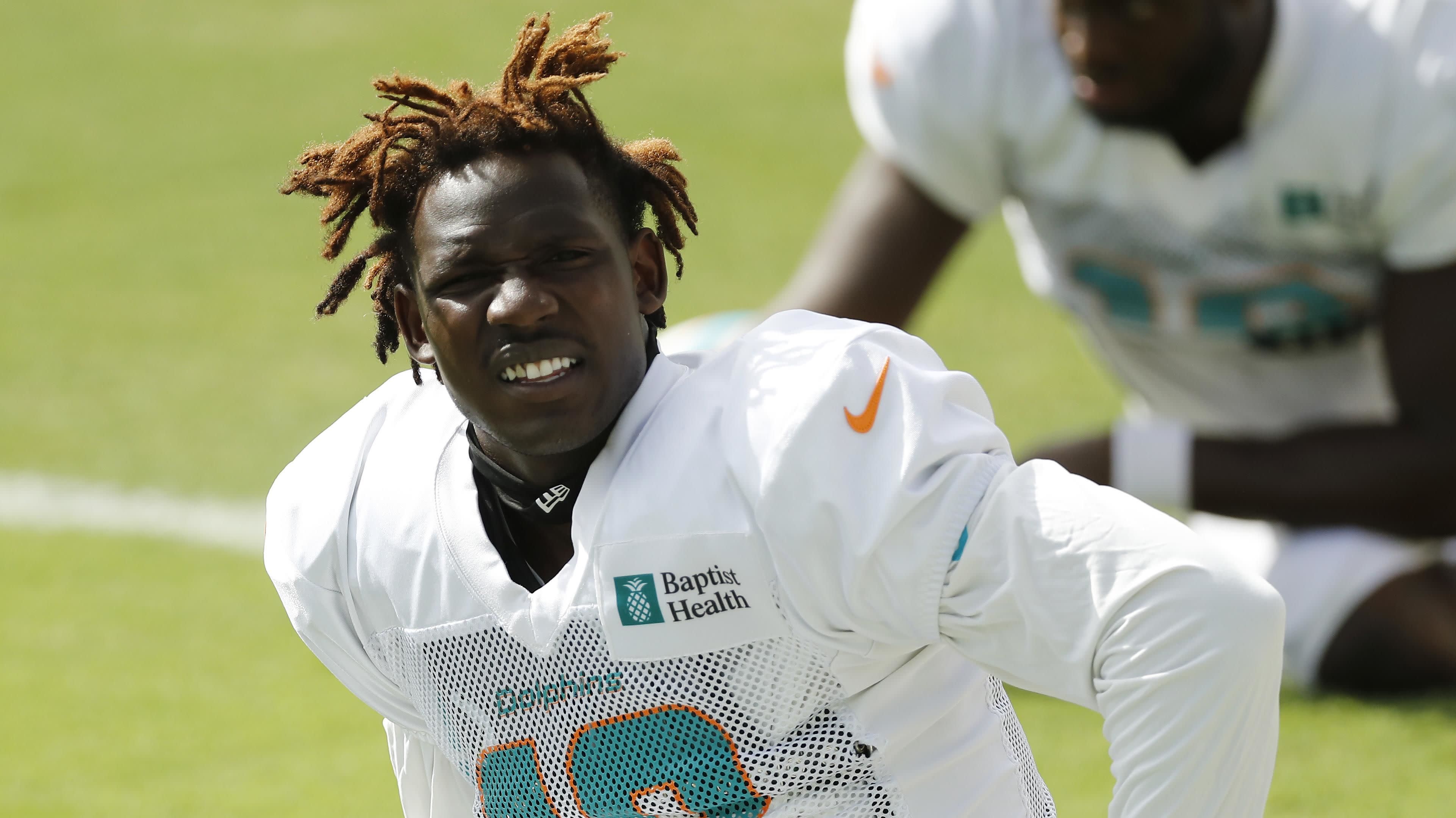 Dolphins Player Profile: WR Preston Williams - Sports Illustrated