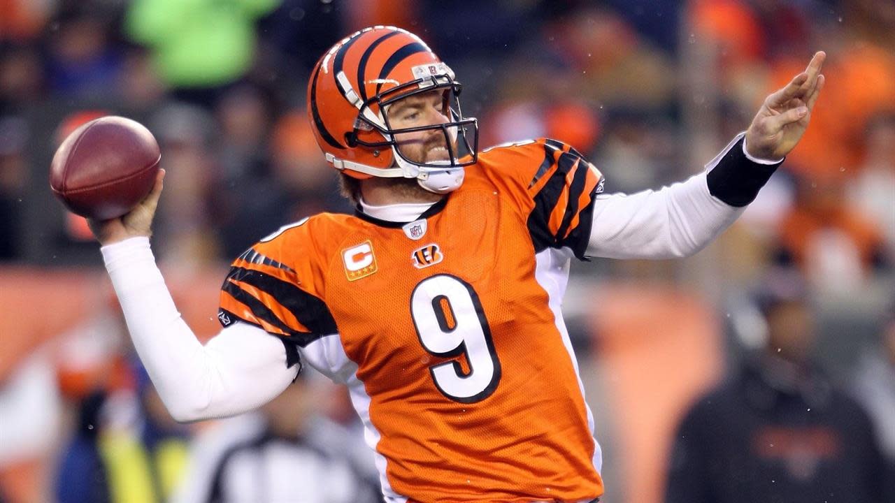 Carson Palmer of the Cincinnati Bengals looks to pass against the