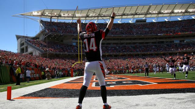 Is Dalton to blame for the bungling Bengals?