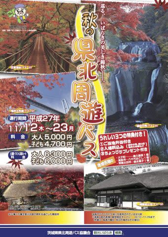 茨城縣縣北周遊巴士帶你暢遊三大紅葉名所 花貫溪谷 龍神大吊橋 袋田瀑布