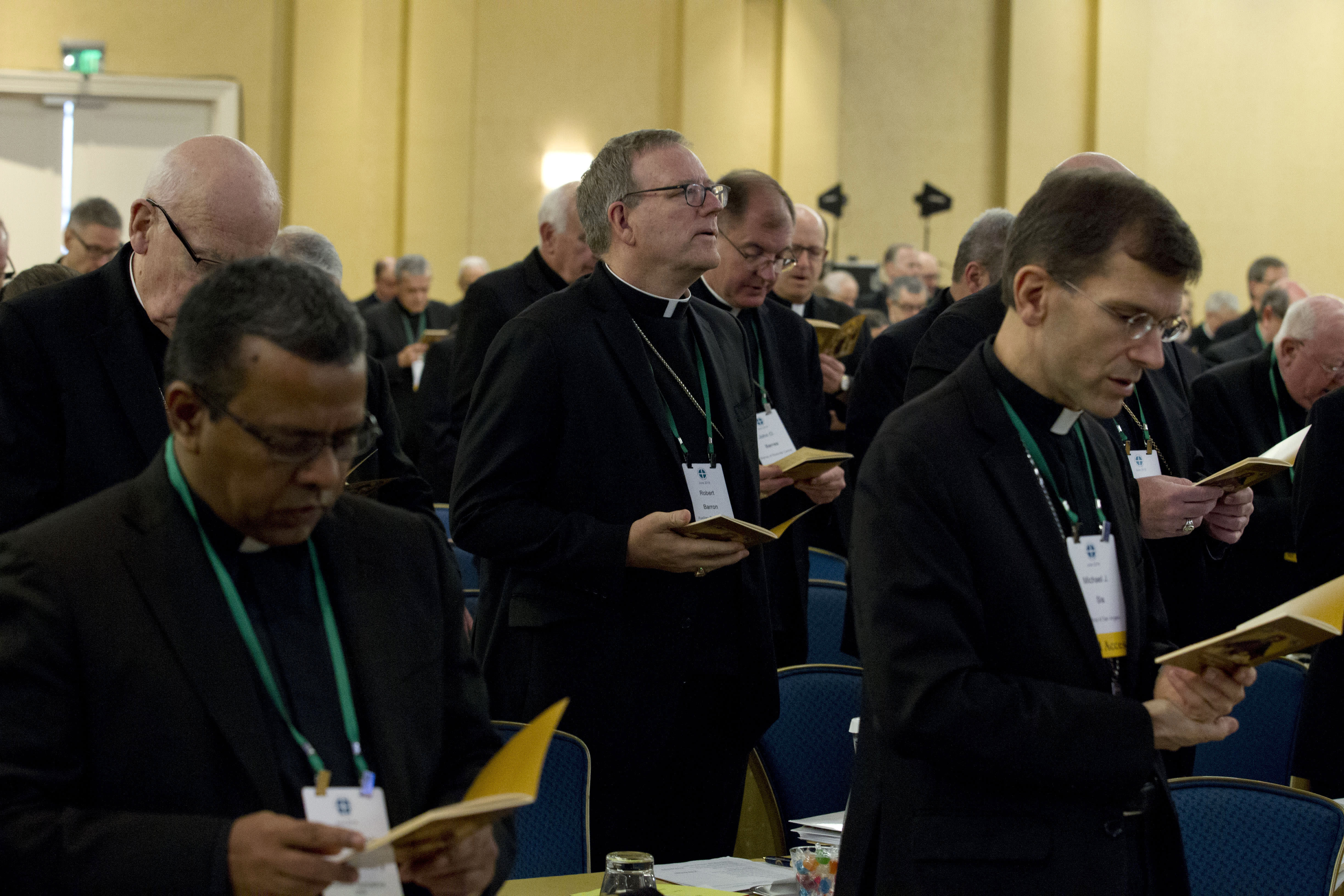 us-catholic-bishops-convene-to-confront-sex-abuse-crisis