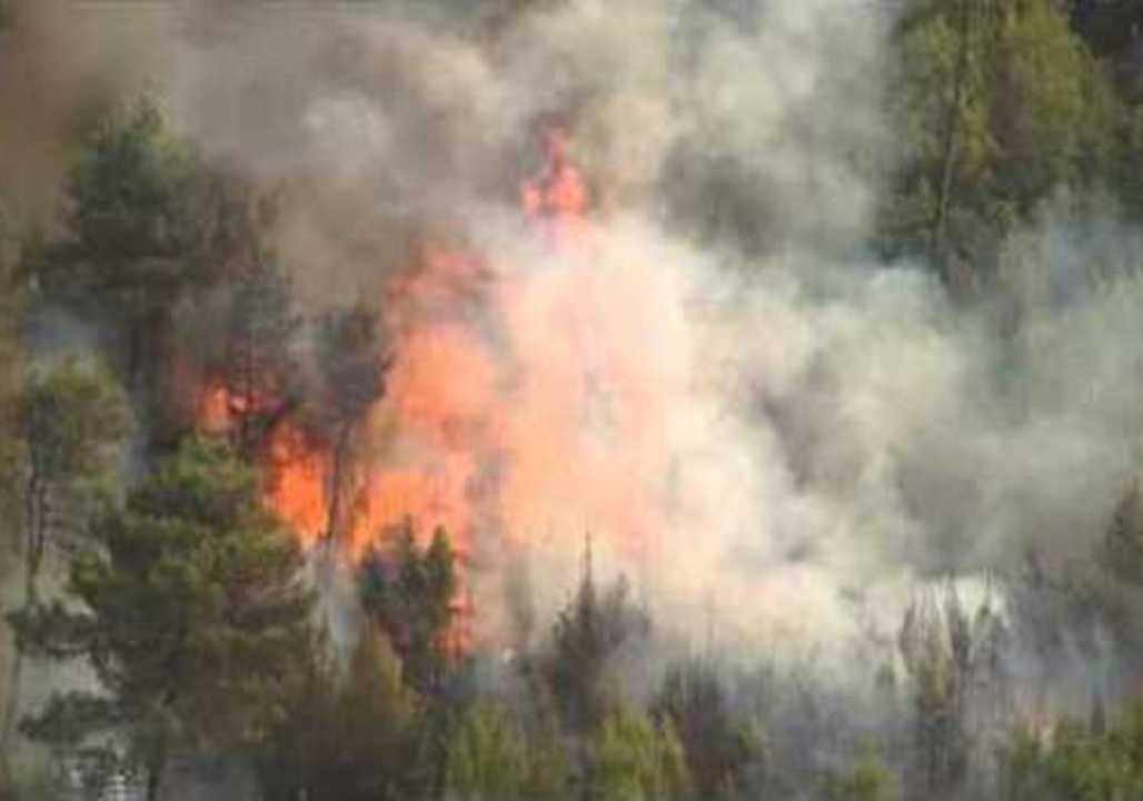 Wildfires Scorch Thousands of Acres on Korcula, Croatia