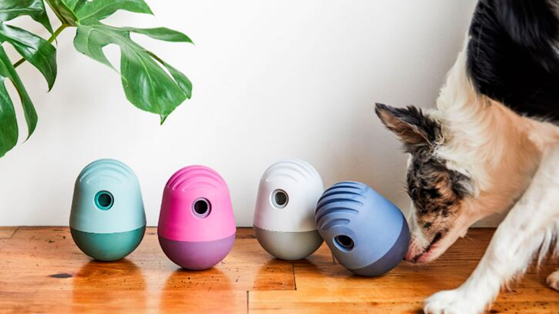 Work your dog's brain with this interactive food-dispensing toy