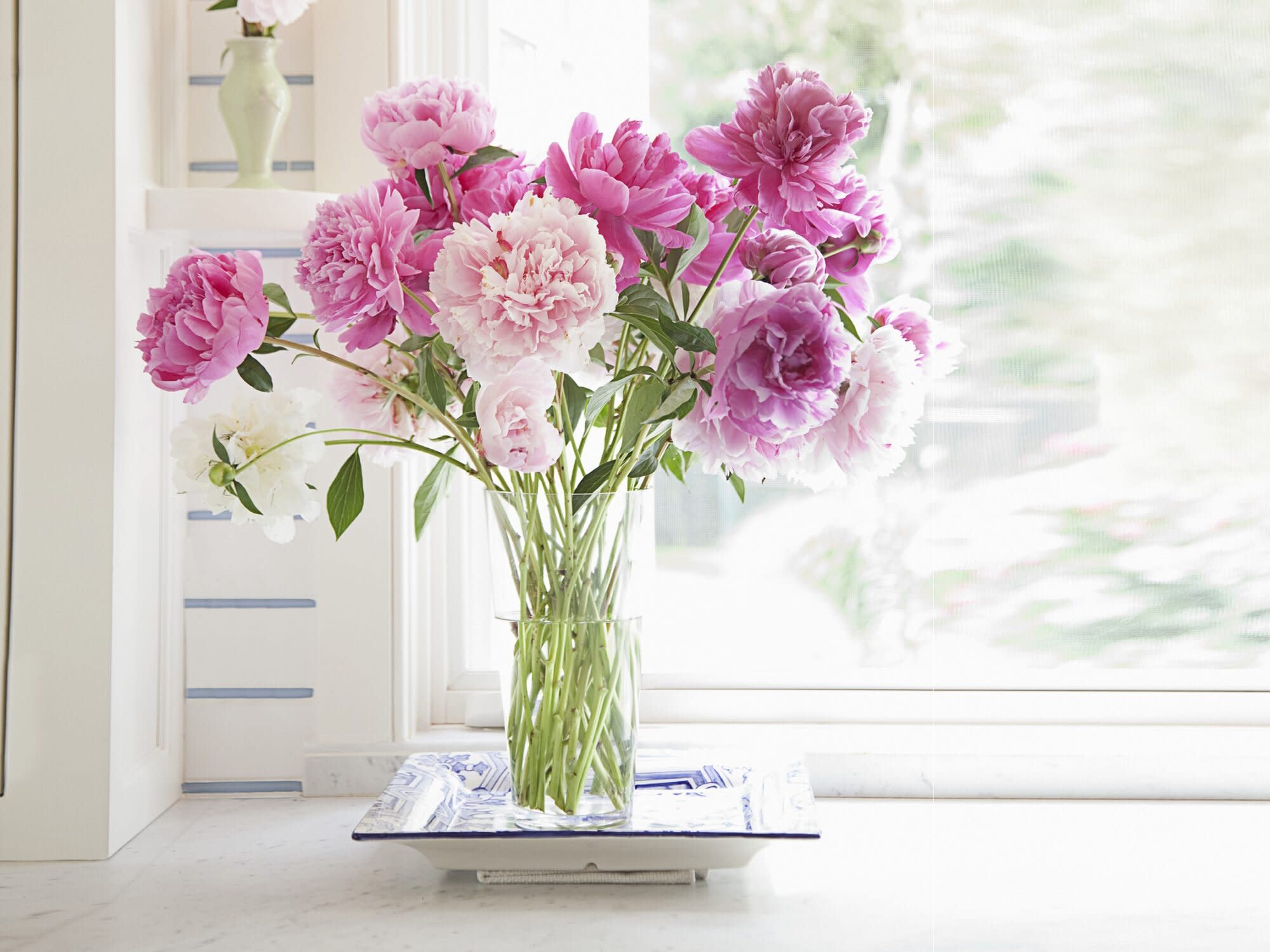 Here's What to Do With Those Fresh-Cut Flowers as Soon as ...