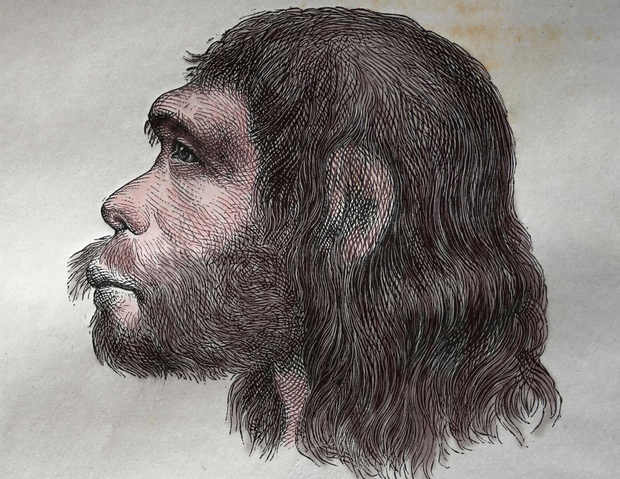 Неандерталец в профиль